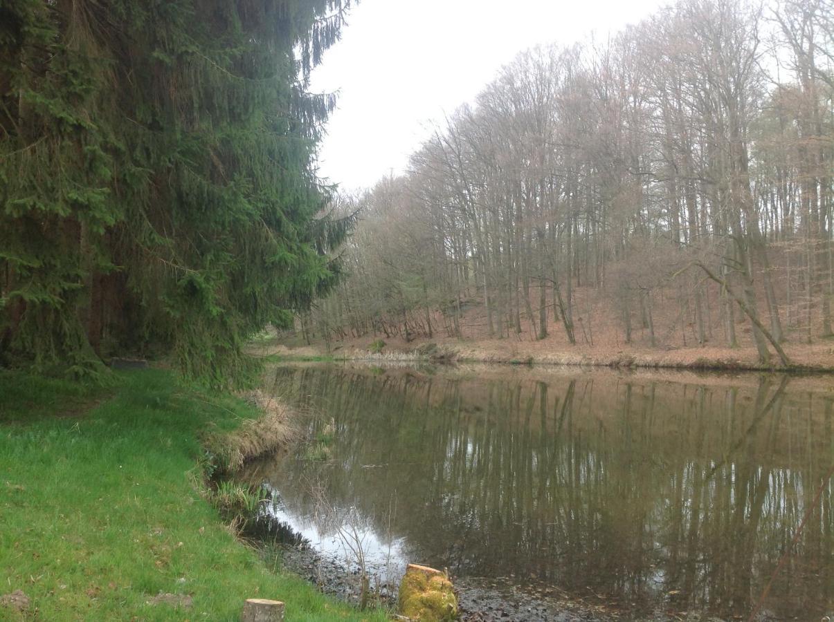 Gite Du Creux De La Goutte Xertigny Exteriér fotografie